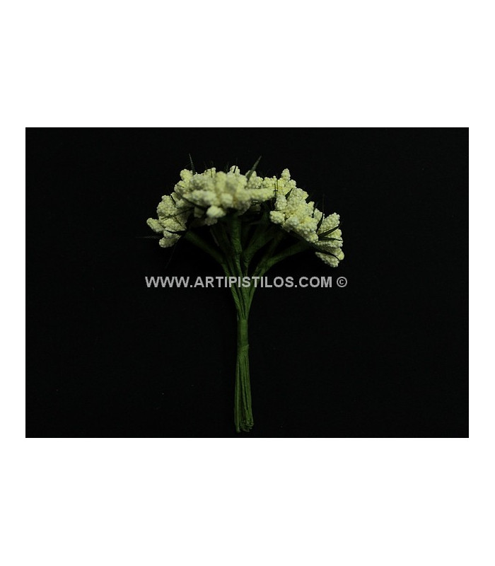 BOUQUET 12 FLEURS