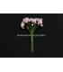 BOUQUET 12 FLEURS