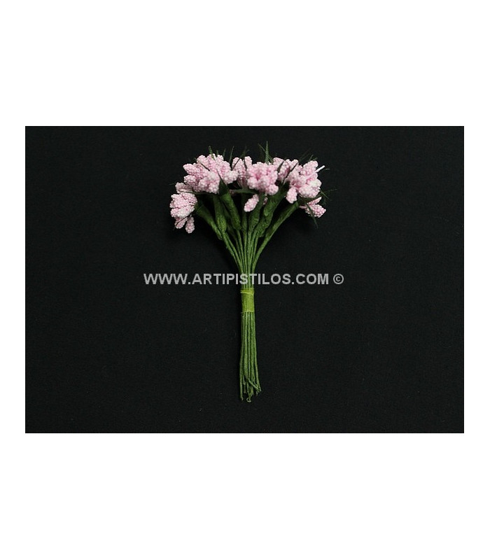 BOUQUET 12 FLEURS