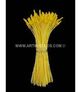 PISTIL POINTE DE LANCE JAUNE MAT