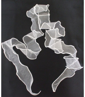 RUBAN EN ORGANZA 10 CMS.