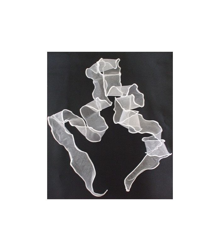 RUBAN EN ORGANZA 10 CMS.