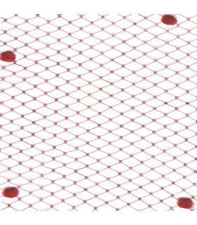 VOILE SPOT