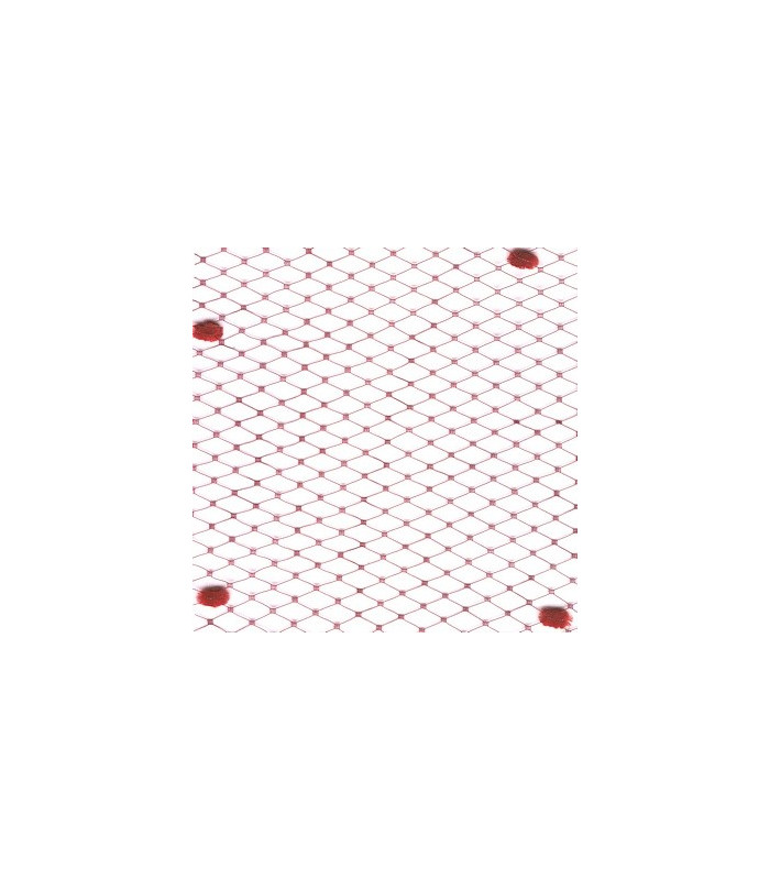 VOILE SPOT