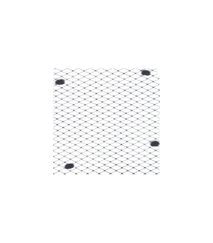 VOILE SPOT