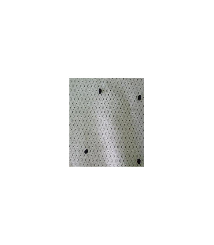 VOILE SPOT