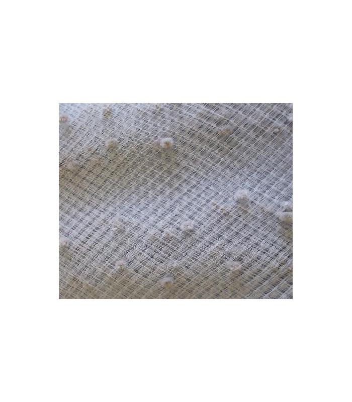 VOILE SPOT
