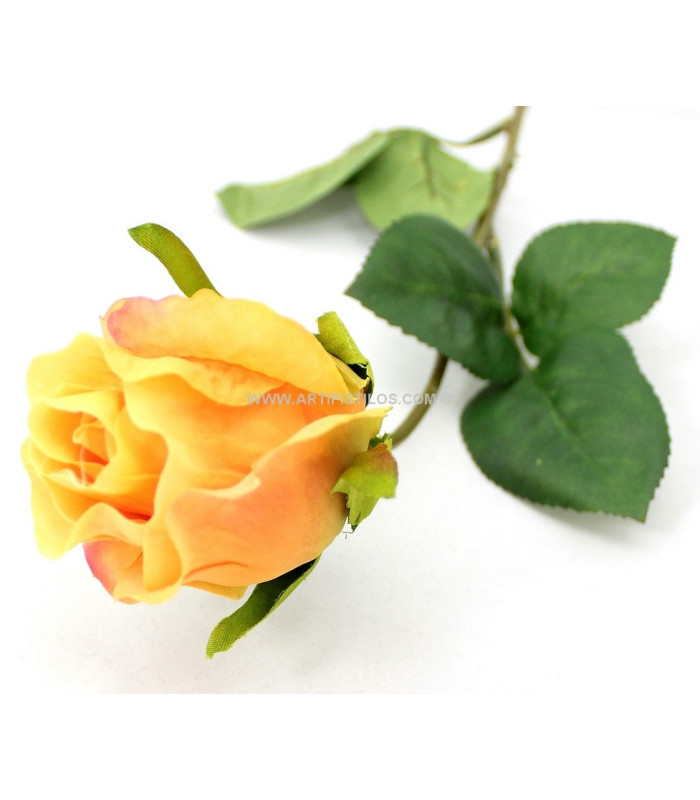 BOUTON DE ROSE