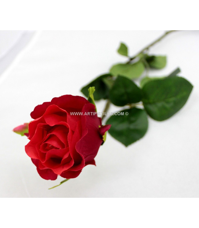 BOUTON DE ROSE