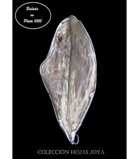 NATUREL FEUILLES DE MAGNOLIO PLAQUÉ ARGENT 1000 15 X 6,5 CMS