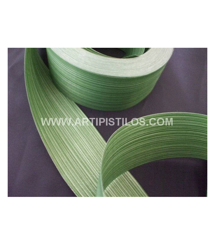 RUBAN NATURLINE 5 CMS.