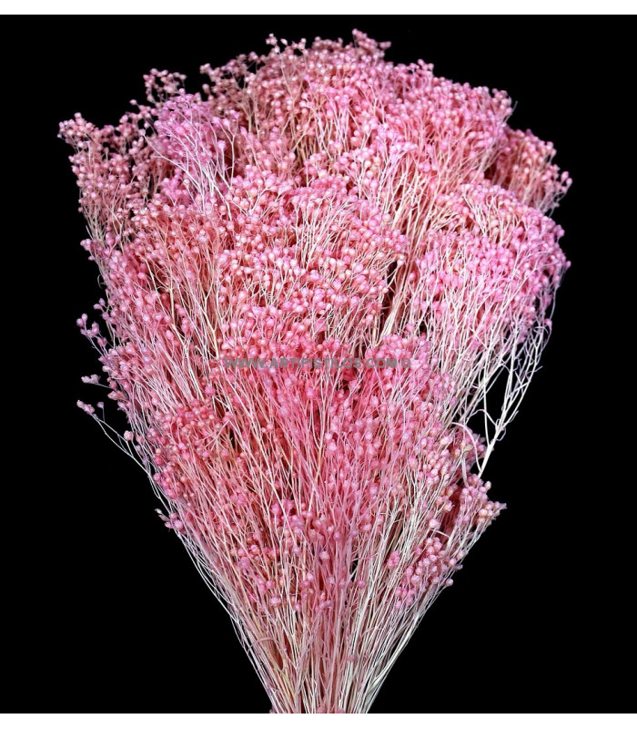 Fleur préservée