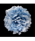 PEONIA TISSU 16 X 6 CMS.