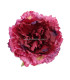 PEONIA TISSU 16 X 6 CMS.