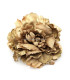 PEONIA TISSU 16 X 6 CMS.