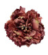 PEONIA TISSU 16 X 6 CMS.