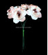 BOUQUET FLEUR PAPIER 6 UNID.
