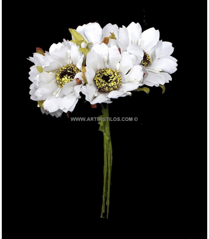 BOUQUET 6 MARGUERITES