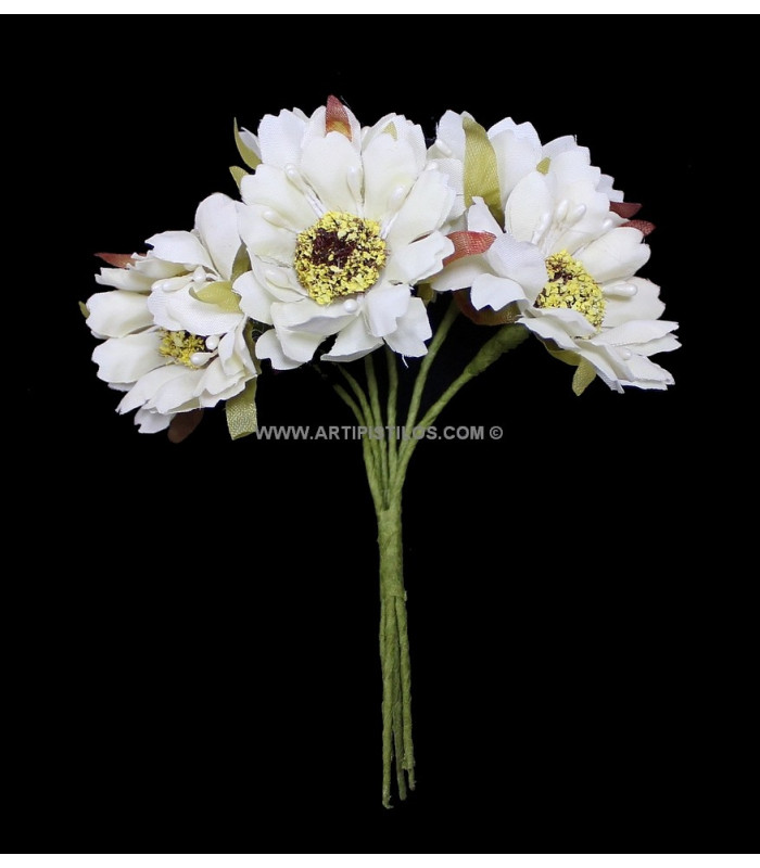 BOUQUET 6 MARGUERITES