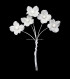 FLEUR EN PORCELAINE AVEC 4 PÉTALES