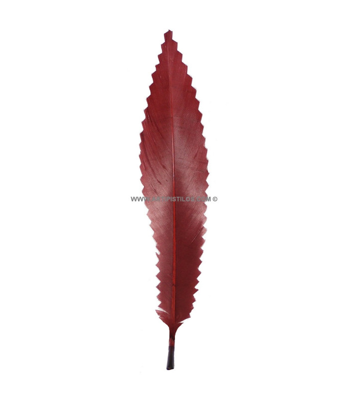 PLUMA DE CANARD 15 CMS.