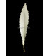 PLUMA DE CANARD 15 CMS.