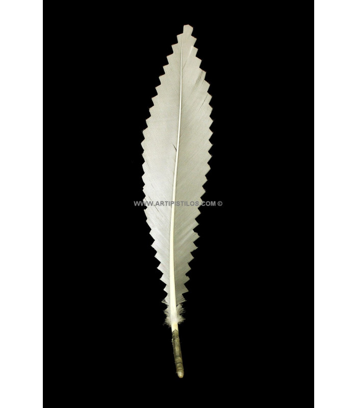 PLUMA DE CANARD 15 CMS.