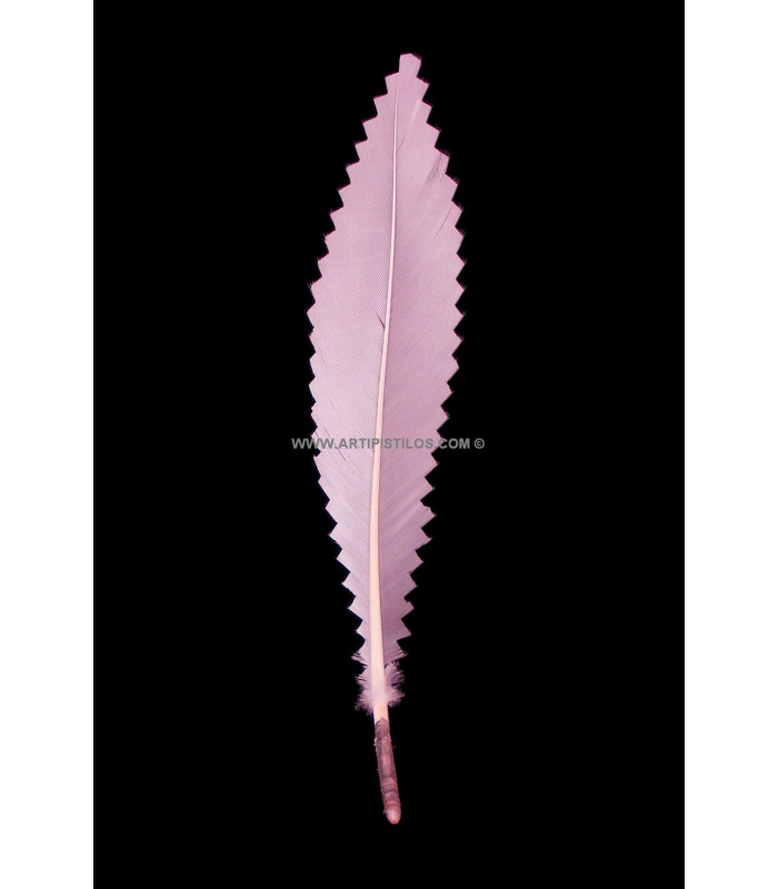 PLUMA DE CANARD 15 CMS.