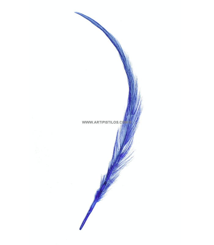 PLUME BRÛLÉE DE COQ 30 CMS.