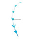 PLUME DE COQ DIAMANT 25 CMS.