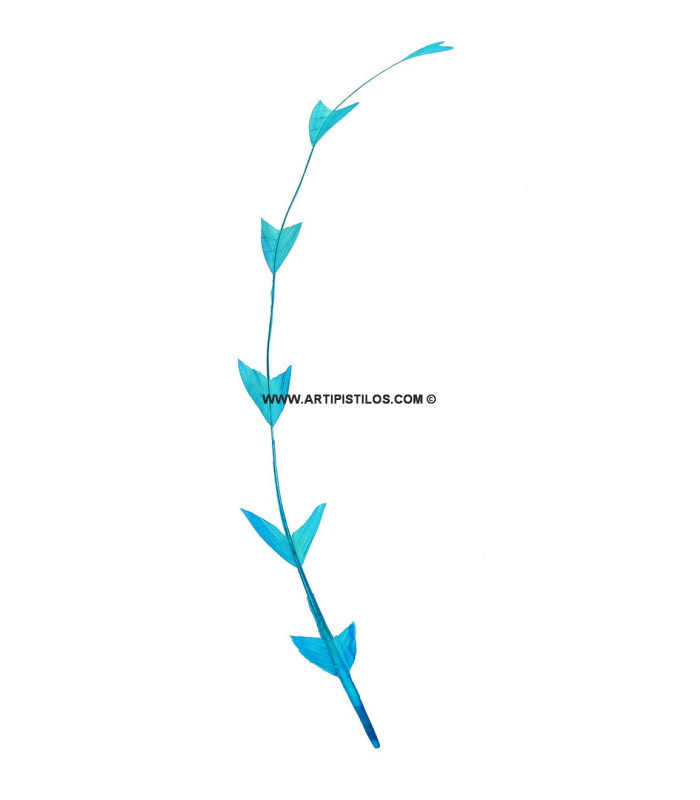 PLUME DE COQ DIAMANT 25 CMS.