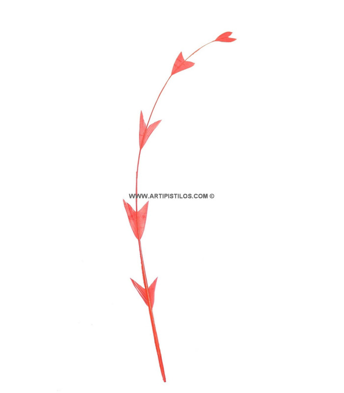 PLUME DE COQ DIAMANT 25 CMS.