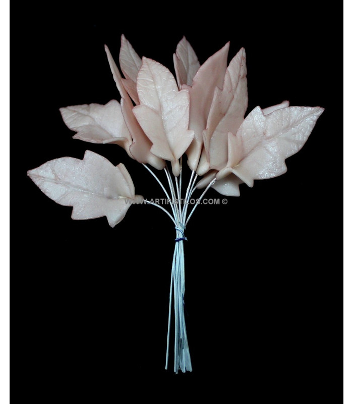 FEUILLE DE PORCELAINE 5 X 2,5 CMS.