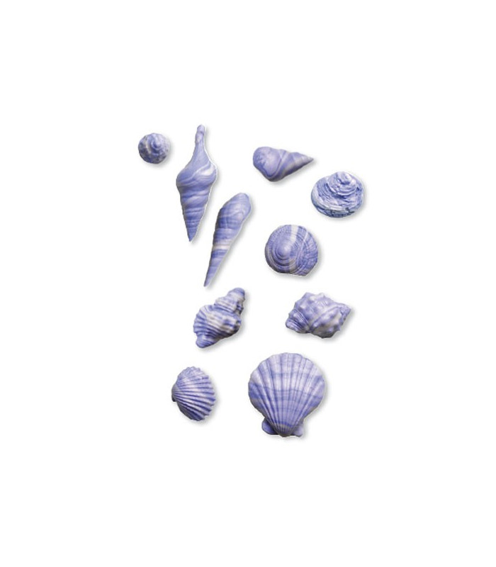 MOULE EN SILICONE POUR PÂTE "SHELLS"