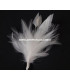 MONTAGE PLUMES DE JARS/ANTENNE DE COQ