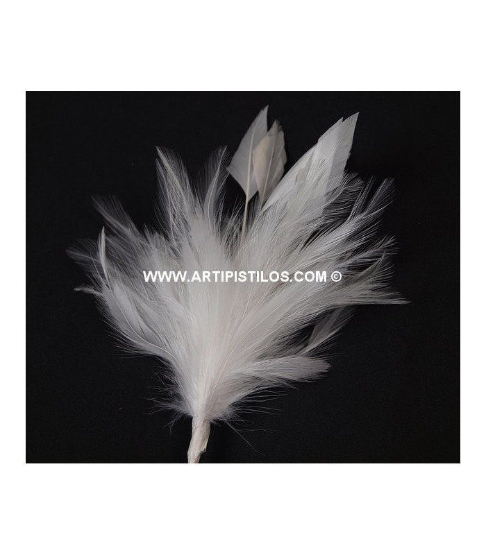 MONTAGE PLUMES DE JARS/ANTENNE DE COQ