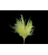 BOUQUET PLUMES D´OIE/COQ