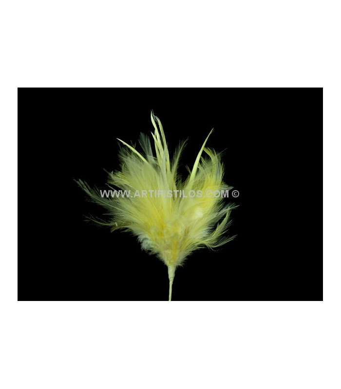 BOUQUET PLUMES D´OIE/COQ