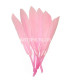 SAC 15 PLUMES DE CANARD