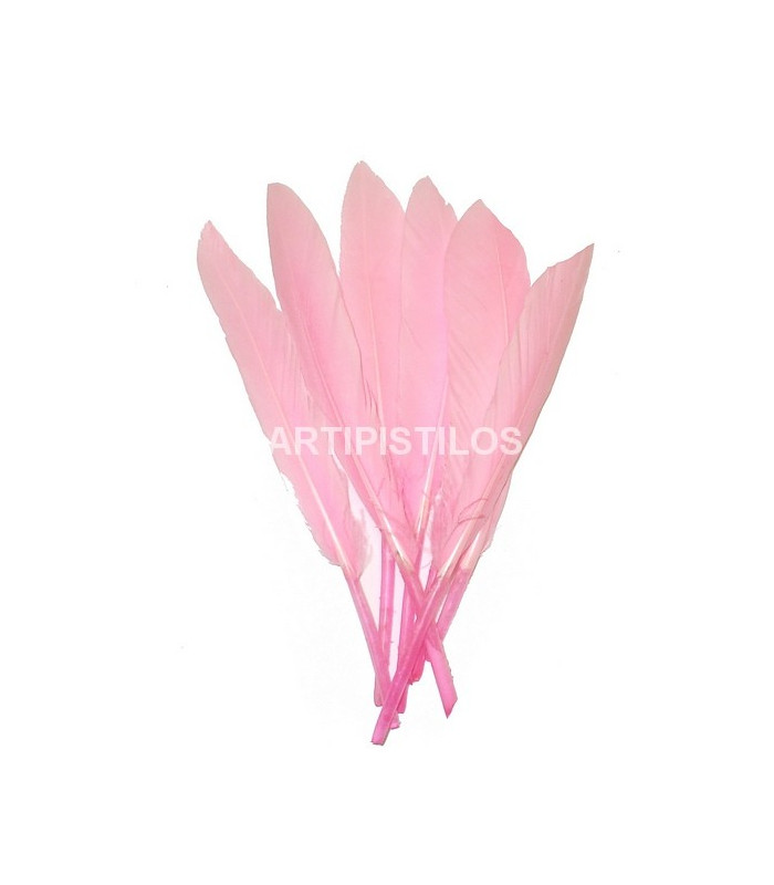 SAC 15 PLUMES DE CANARD
