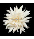 DAHLIA EN TISSU 18 cm