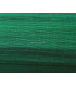 JINSIN 1ª QUALITÉ 50 cm X 1 mt