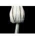 HORSEHAIR - RAFFIA BICOLOR