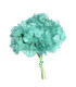 Hortensia préservé naturel