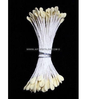 PISTIL RAME 2 COTÊS