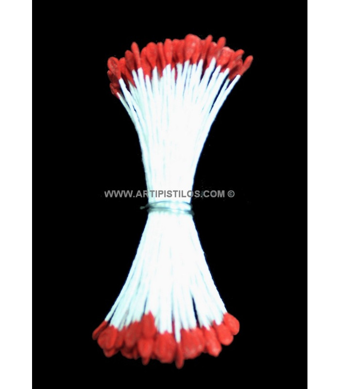 PISTIL RAME 2 COTÊS