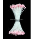 PISTIL RAME 2 COTÊS