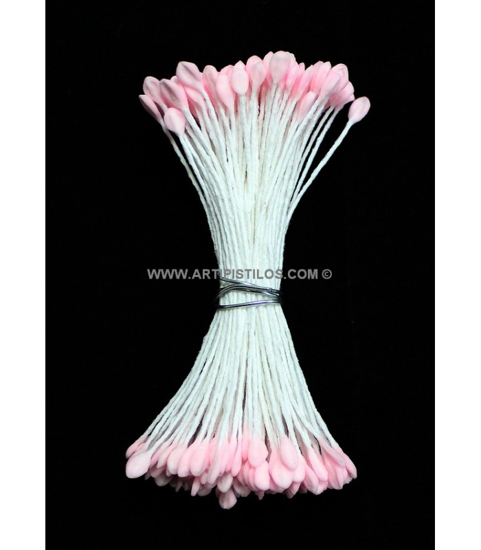 PISTIL RAME 2 COTÊS