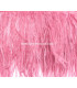 FRANGE PLUMES D´AUTRUCHE - 10 CMS.