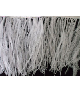 FRANGE PLUMES D'AUTRUCHE - 10 CMS.